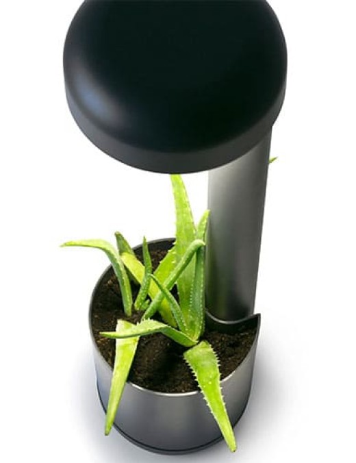 potelet extérieure grow
